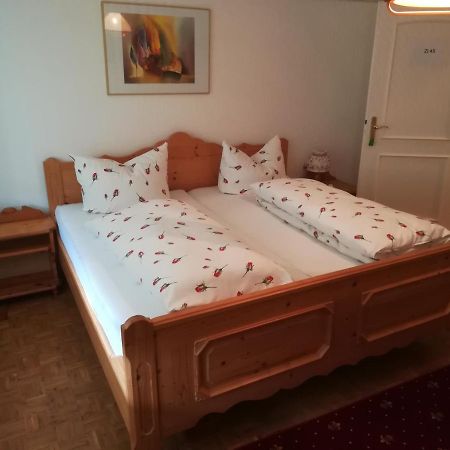 Apartment Froschkoenig Gladenbach المظهر الخارجي الصورة