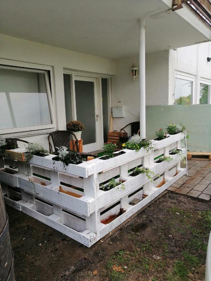 Apartment Froschkoenig Gladenbach المظهر الخارجي الصورة