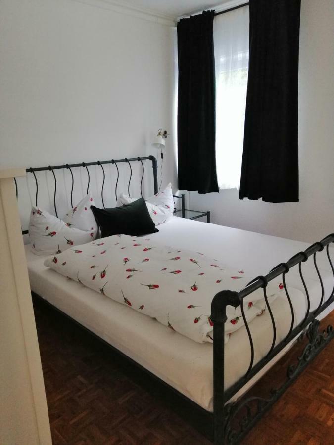 Apartment Froschkoenig Gladenbach المظهر الخارجي الصورة